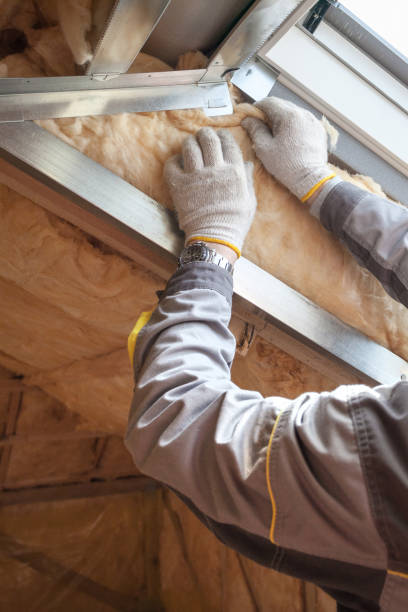 Best Garage Insulation  in USA